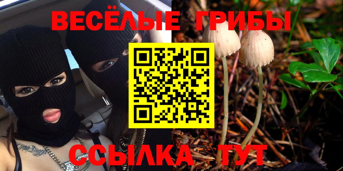 Шадринск  Галлюциногенные грибы Magic Shrooms  Вход с VPN 